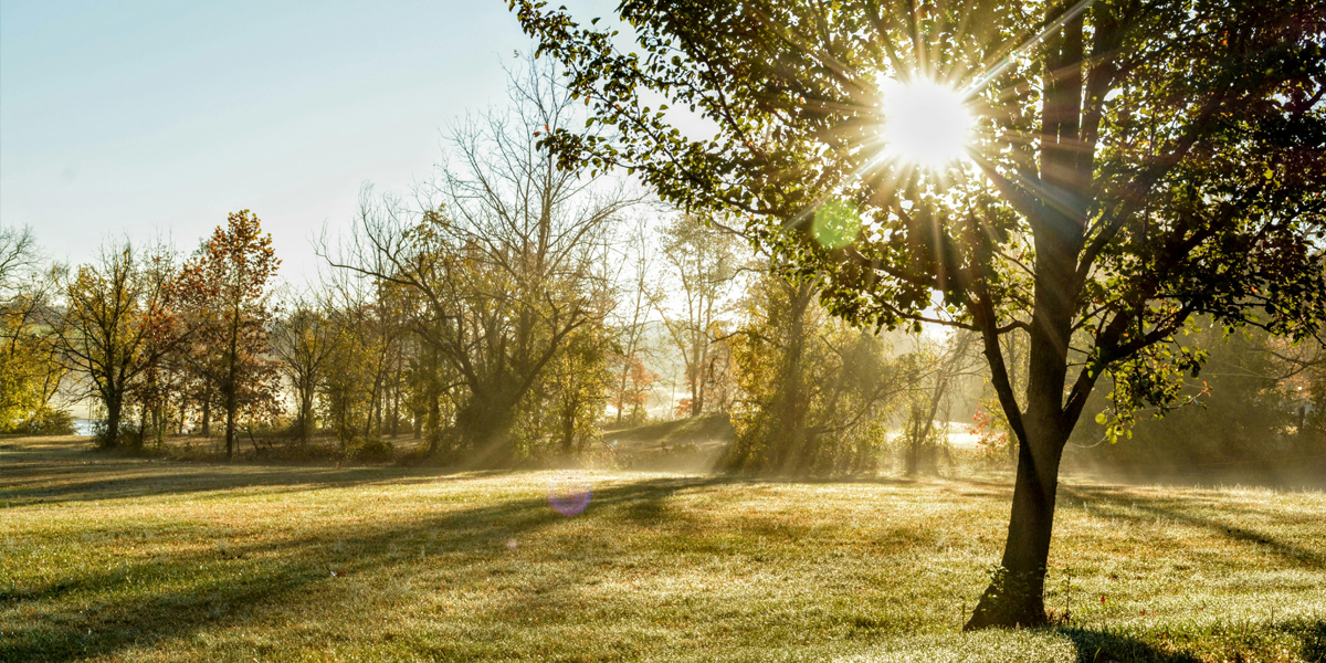 Routines That Work for You, Without the Pressure to Be Perfect